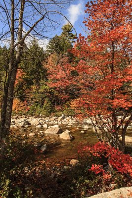 New Hampshire - Fall Foliage