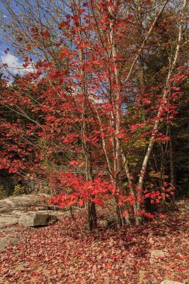 New Hampshire - Fall Foliage