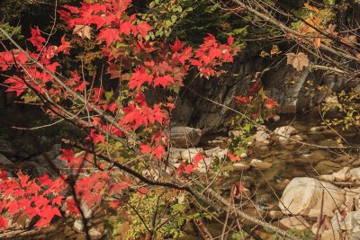 New Hampshire - Fall Foliage