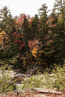 New Hampshire - Fall Foliage