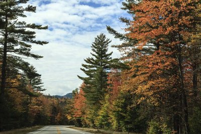 New Hampshire - Fall Foliage