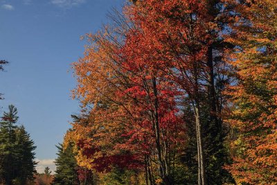 New Hampshire - Fall Foliage