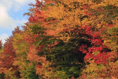 New Hampshire - Fall Foliage