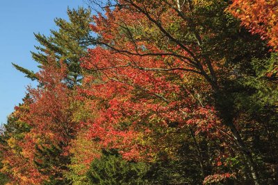 New Hampshire - Fall Foliage