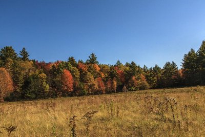 New Hampshire - Fall Foliage