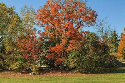 New Hampshire - Fall Foliage