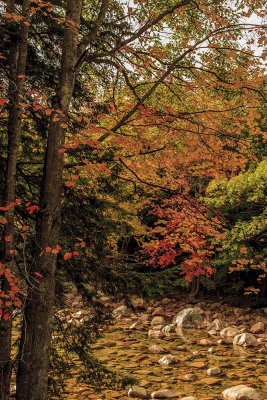 New Hampshire - Fall Foliage