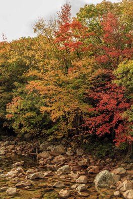 New Hampshire - Fall Foliage