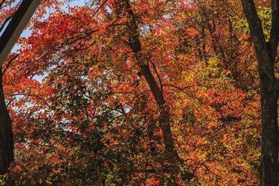 New Hampshire - Fall Foliage