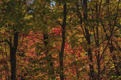 New Hampshire - Fall Foliage