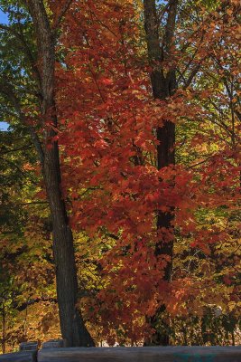 New Hampshire - Fall Foliage
