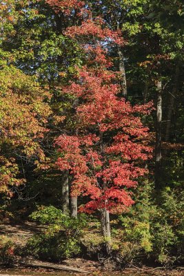 New Hampshire - Fall Foliage