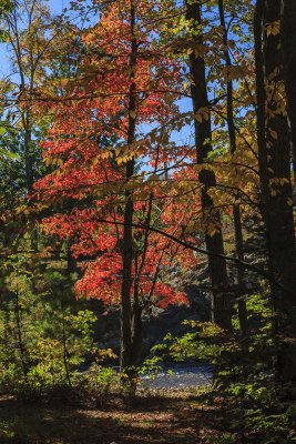 New Hampshire - Fall Foliage