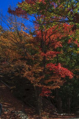 New Hampshire - Fall Foliage