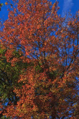 New Hampshire - Fall Foliage