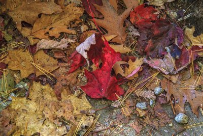 New Hampshire - Fall Foliage