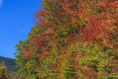 New Hampshire - Fall Foliage