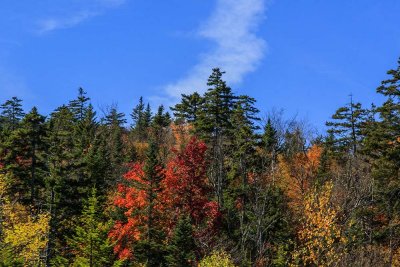 New Hampshire - Fall Foliage