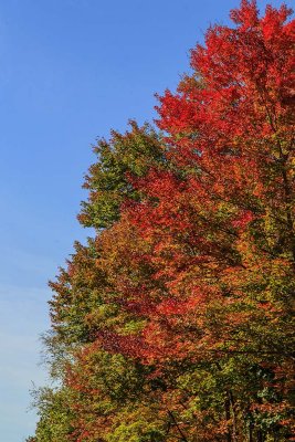 New Hampshire - Fall Foliage