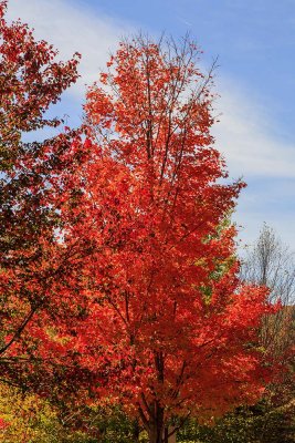 New Hampshire - Fall Foliage