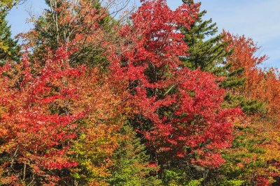 New Hampshire - Fall Foliage