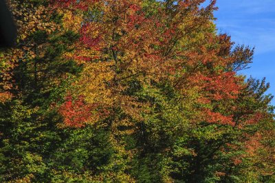 New Hampshire - Fall Foliage