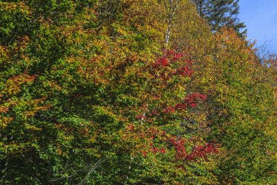 New Hampshire - Fall Foliage