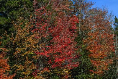 New Hampshire - Fall Foliage