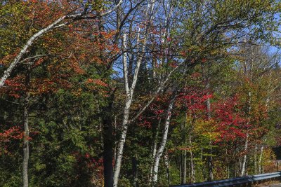 New Hampshire - Fall Foliage