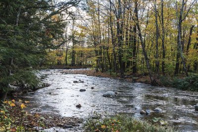 Brookdale Covered Bridge Stream