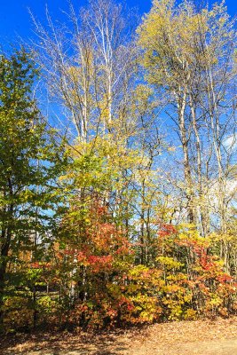 Sights in around Stowe, Vermont