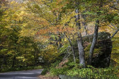 Sights in around Stowe, Vermont
