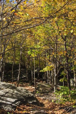 Sights in around Stowe, Vermont