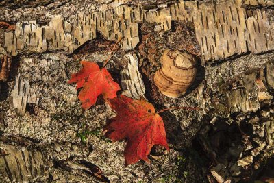 Sights in around Stowe, Vermont