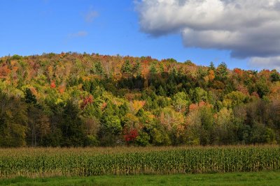 Sights in around Stowe, Vermont