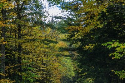 Sights in around Stowe, Vermont