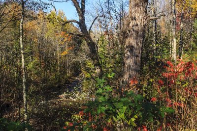 Travel from Stowe to Manchester Center, Vermont - Day Six