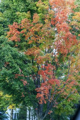 Travel from Stowe to Manchester Center, Vermont - Day Six