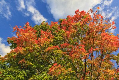 Travel from Stowe to Manchester Center, Vermont - Day Six