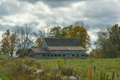 Fall Foliage