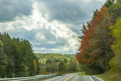 Fall Foliage