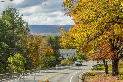 Fall Foliage