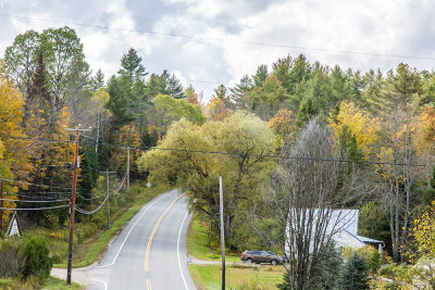 Fall Foliage