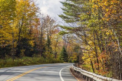 Fall Foliage