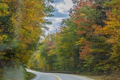 Fall Foliage