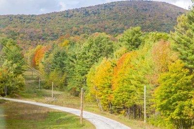 Fall Foliage