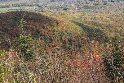 Mount Equinox Toll Road