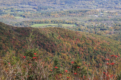 Mount Equinox Toll Road