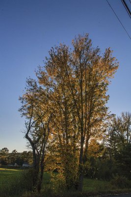 Near Carlton Covered Bridge