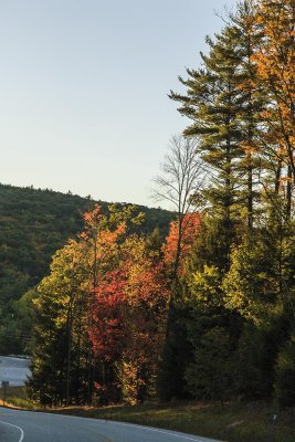 View from the Road